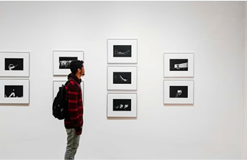The Evolution of Art